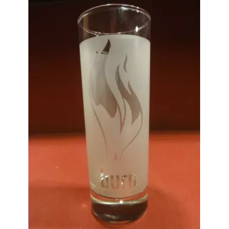 6 VERRES BURN GIVRES 