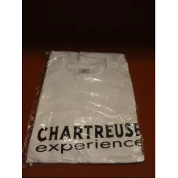 1 TEE SHIRT CHARTREUSE  EXPERENCE  TAILLE L