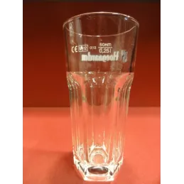 1 VERRE HOEGAARDEN 25CL NOUVEAU MODELE