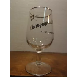 1 VERRE CHAMPIGNEULLES 25CL