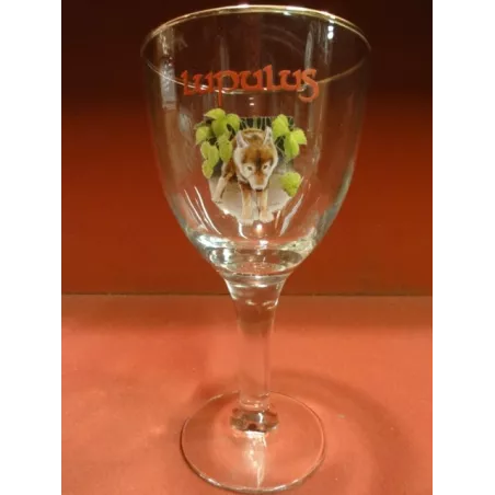 6 VERRES LUPULUS 25CL