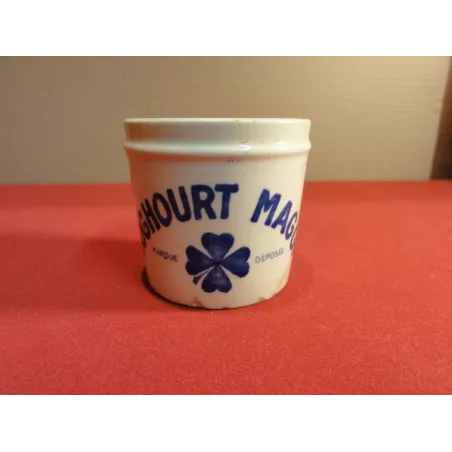 POT YOGHOURT   MAGGI 