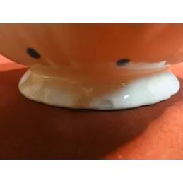 UNE SAUCIERE