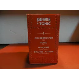 1 VERRE BEEFEATER 50CL  HT 18.50CM