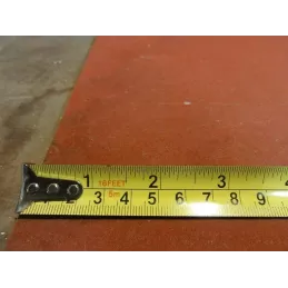 1 METRE PALM.......... 5METRES.....