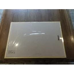 MIROIR SCHUTZENBERGER  63CM X43CM