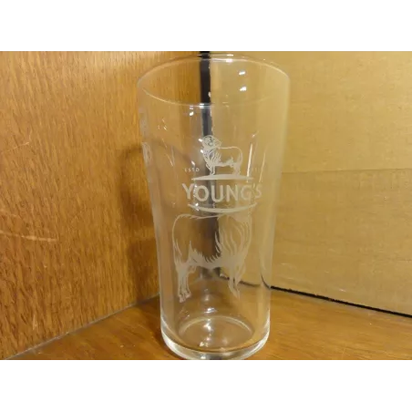 6 VERRES YOUNG'S 25CL HT. 13CM