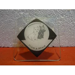 COUPELLE  BLACK&WHITE  8.80CM X8.80CM