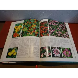 GUIDES PRATIQUES LES FLEURS N°1 64 PAGES