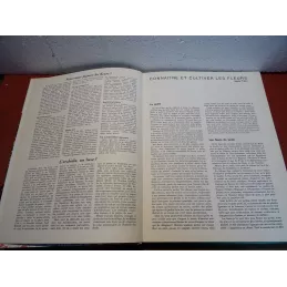 GUIDES PRATIQUES LES FLEURS N°1 64 PAGES