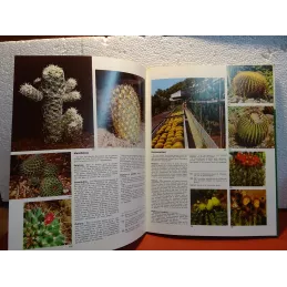 GUIDES PRATIQUES  PLANTES ORNEMENTALES N°2 64 PAGES