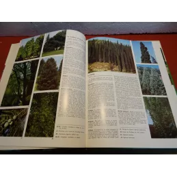 GUIDES PRATIQUES  ARBRES ET ARBUSTES N°3 64 PAGES