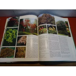 GUIDES PRATIQUES  ARBRES ET ARBUSTES N°3 64 PAGES