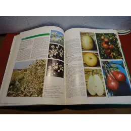 GUIDES PRATIQUES  LES FRUITS N°5 64 PAGES