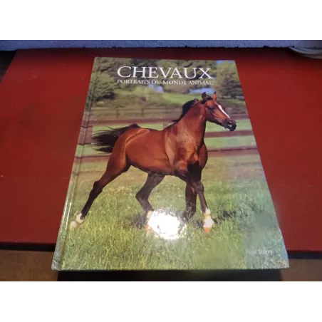 LIVRE SUR LES CHEVAUX PAR PAUL STERRY 80 PAGES - Tigrebock