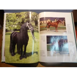 LIVRE SUR LES CHEVAUX PAR PAUL STERRY  80 PAGES