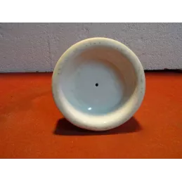 PYROGENE  ELIXIR DES GAULES