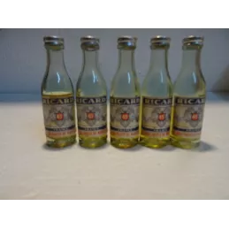 5 MIGNONNETTES RICARD