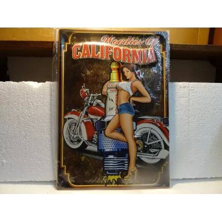 TOLE CALIFORNIA  PINUP 40CM X28CM