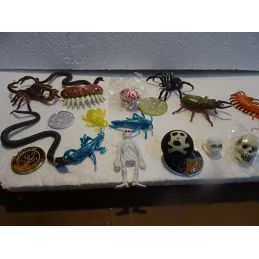 TETE DE MORT  DISNEY PIRATES OF THE GARIBBEAU