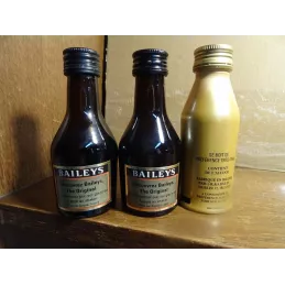 3 MIGNONNETTES BAILEY'S PLEINE
