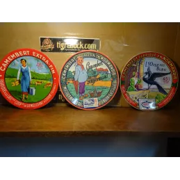 SERVICE  ASSIETTES A FROMAGE  6 PIECES