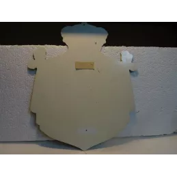 PLEXI GLASS  SCHUTZ 34CM X26CM