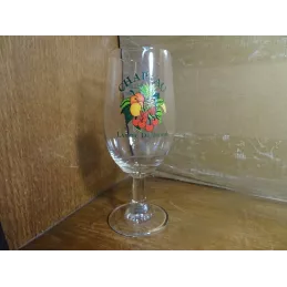 1 VERRE  CHAPEAU 25CL  HT 17.20CM  BRASSERIE WAMBEEK