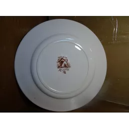 5 ASSIETTES PLATES TERRE DE FER