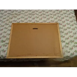 MIROIR  BELZEBUTH 53.50CM X38.50CM