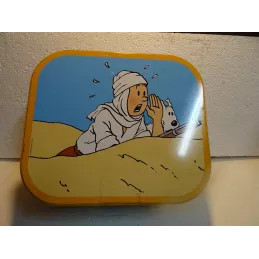 BOITE TINTIN ET MILOU 25CM X21.50CM