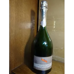 BOUTEILLE  CHAMPAGNE  MUMM BRUT SELECTION 75CL FACTICE