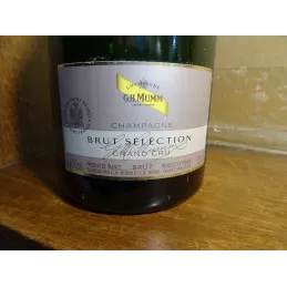 BOUTEILLE  CHAMPAGNE  MUMM BRUT SELECTION 75CL FACTICE