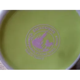 MUG LA FEE CLOCHETTE  DISNEYLAND PARIS HT.11.30CM