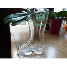 BOTTE PEDAVENA  50CL HT.18.70CM