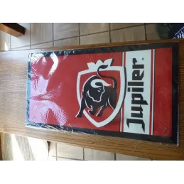 TAPIS JUPILER  EN CAOUTCHOUC 44CM X24CM