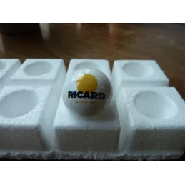 COCHONNET RICARD NOUVEAU LOGO