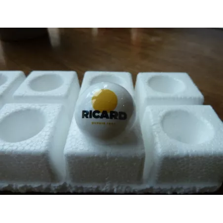 COCHONNET DE PETANQUE RICARD NOUVEAU LOGO