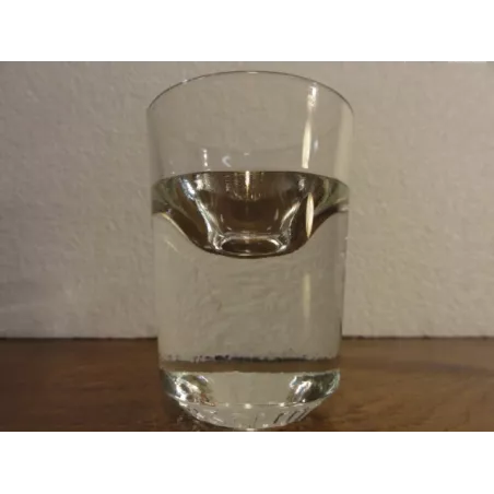 6 VERRES VODKA ABSOLUT  SHOOTER 3CL