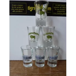 6 SHOOTERS 3 WYBOROWA ET 3 ZUBROWKA