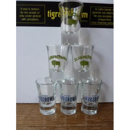 6 SHOOTERS 3 WYBOROWA ET 3 ZUBROWKA