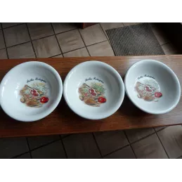 6 ASSIETTES CREUSES  PAELLA DIAMETRE 20.30CM HT 5.50CM