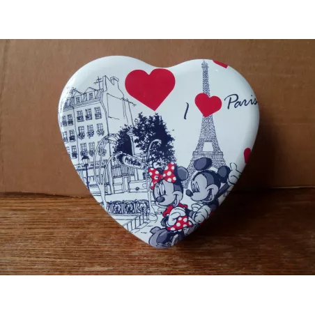 BOITE PARIS DISNEYLAND MINNIE ET MICKEY