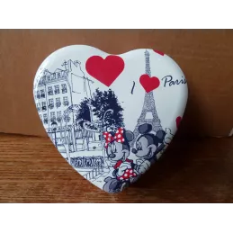 BOITE PARIS DISNEYLAND MINNIE ET MICKEY