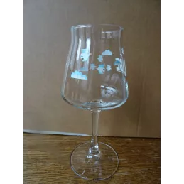 1 VERRE JADE  BRASSERIE CASTELAIN 25CL HT 18.80CM