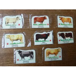 8 MAGNETS  RACE DE VACHES , SALERS , CHAROLAIS , ECT...