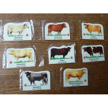8 MAGNETS  RACE DE VACHES , SALERS , CHAROLAIS , ECT...