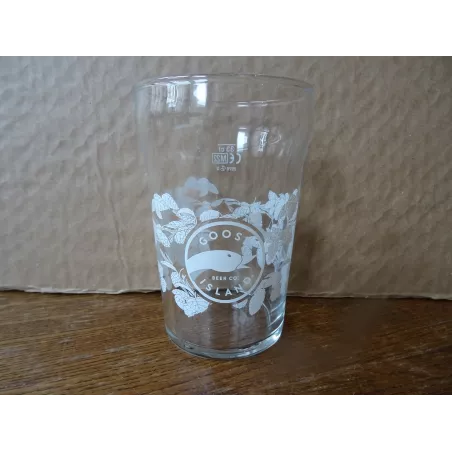 6 VERRES GOOSE 33CL AVEC DECORS HT 13CM