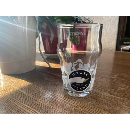 6 VERRES GOOSE BEER 25CL AVEC DECORS  HT 11.50CM