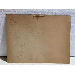 CARTON DEGUSTEZ UN GRAS  ANIS ALGERIEN   33CM X25CM